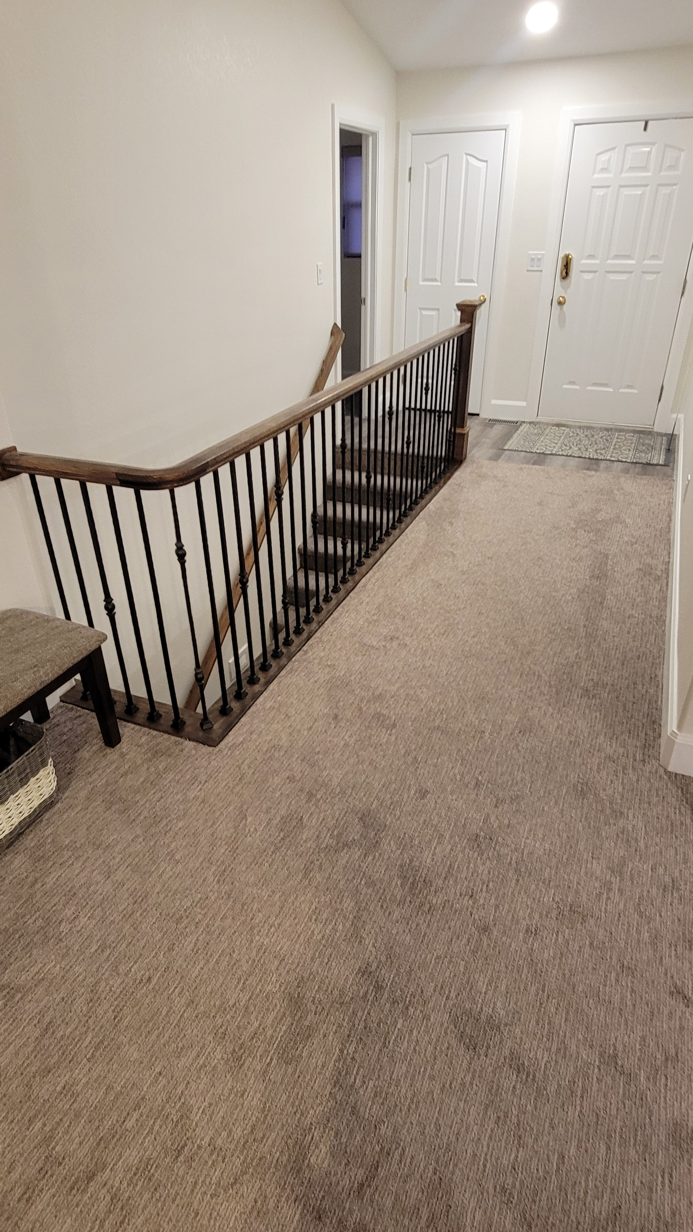 A carpeted hallway with a railing on the left, leading to a staircase. Two closed doors and a lit ceiling light are visible at the end.